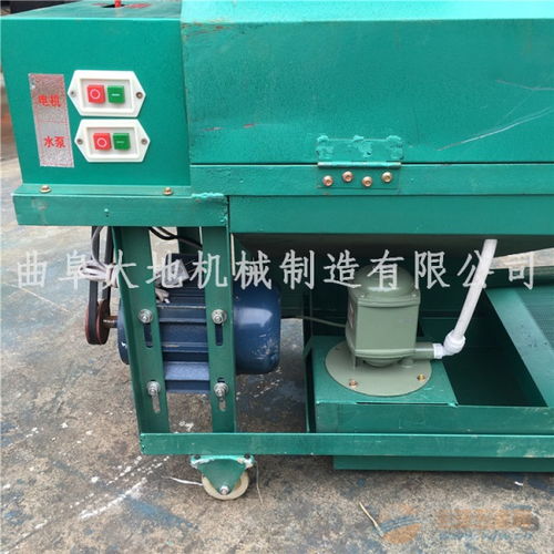 家用鲜核桃去皮机 青核桃剥壳清洗机 多功能青核桃剥皮机